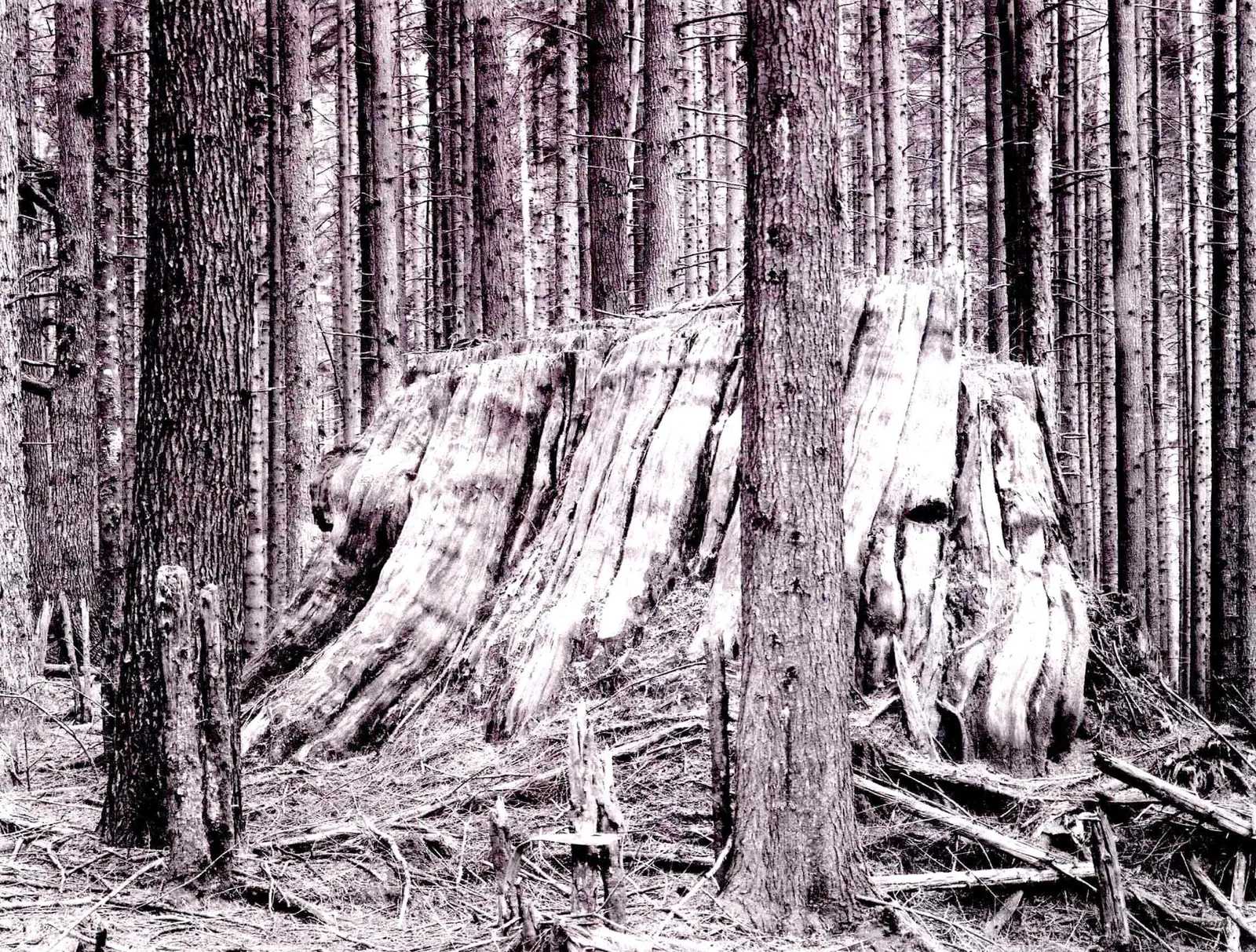 用摄影交流 Communication Through Photography