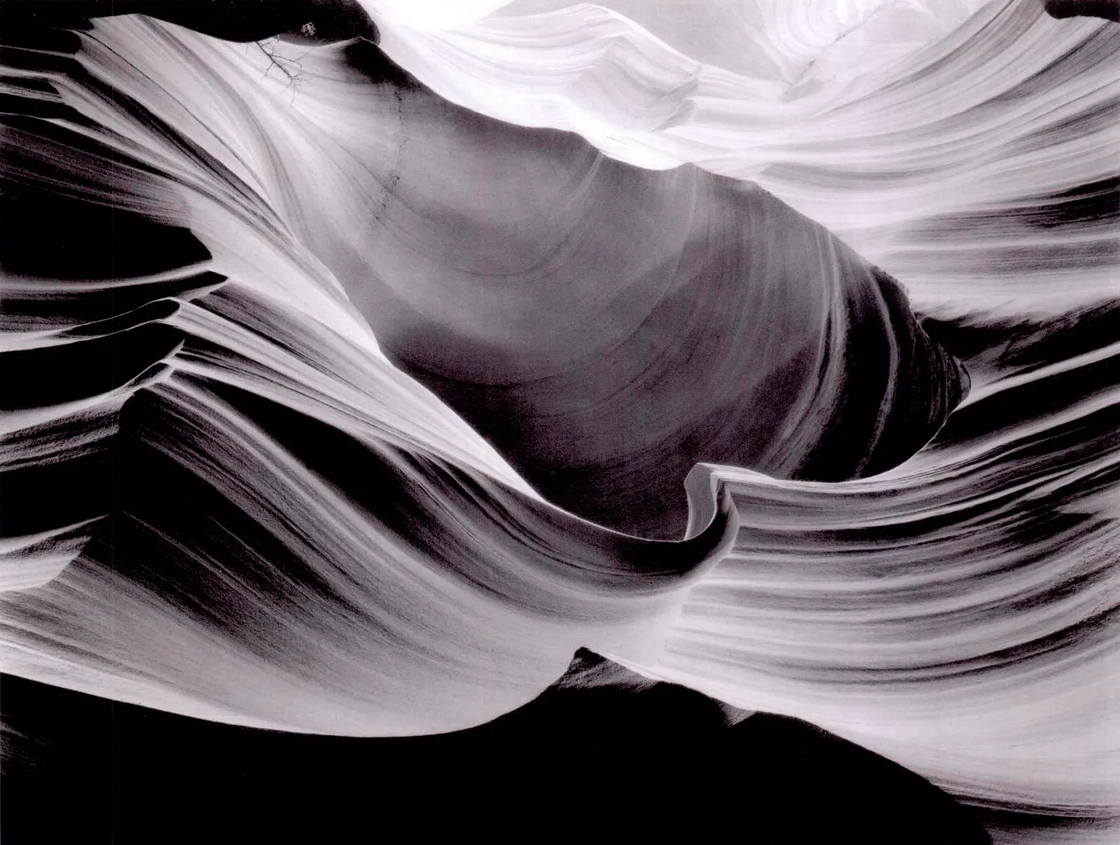 把摄影的激情融入日常生活中，让平凡也能闪光