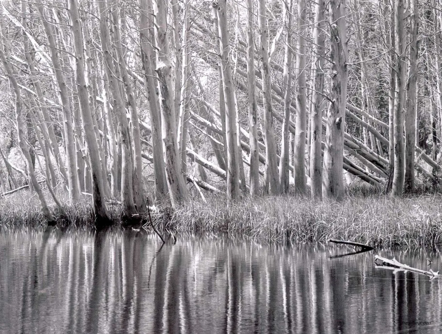 把摄影的激情融入日常生活中，让平凡也能闪光
