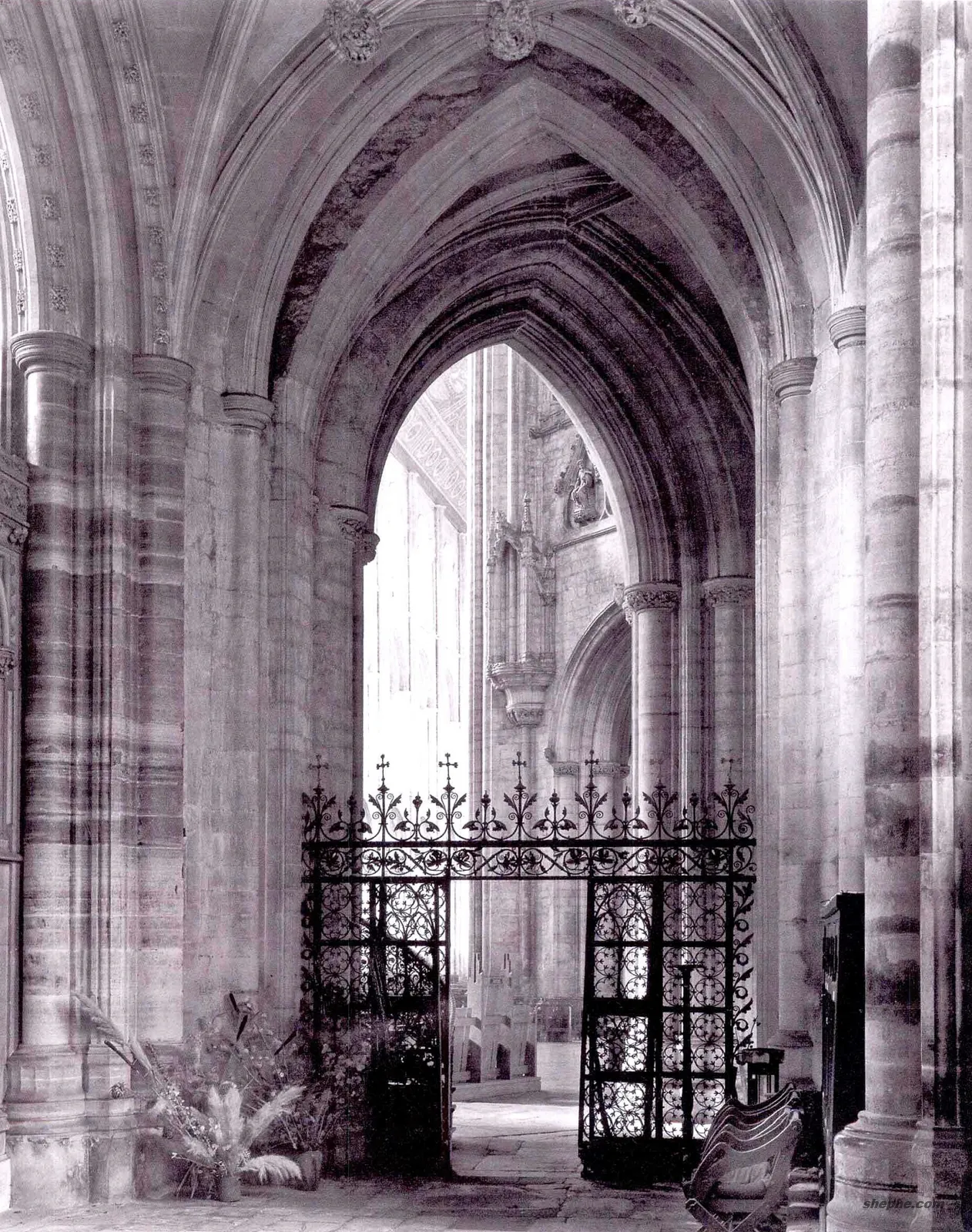 把摄影的激情融入日常生活中，让平凡也能闪光