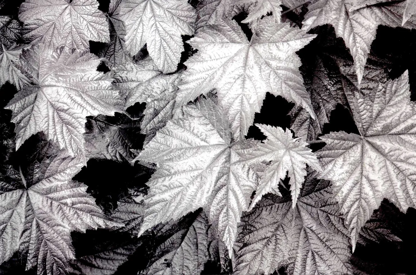 什么是摄影构图？我们眼睛是怎样看到东西的？