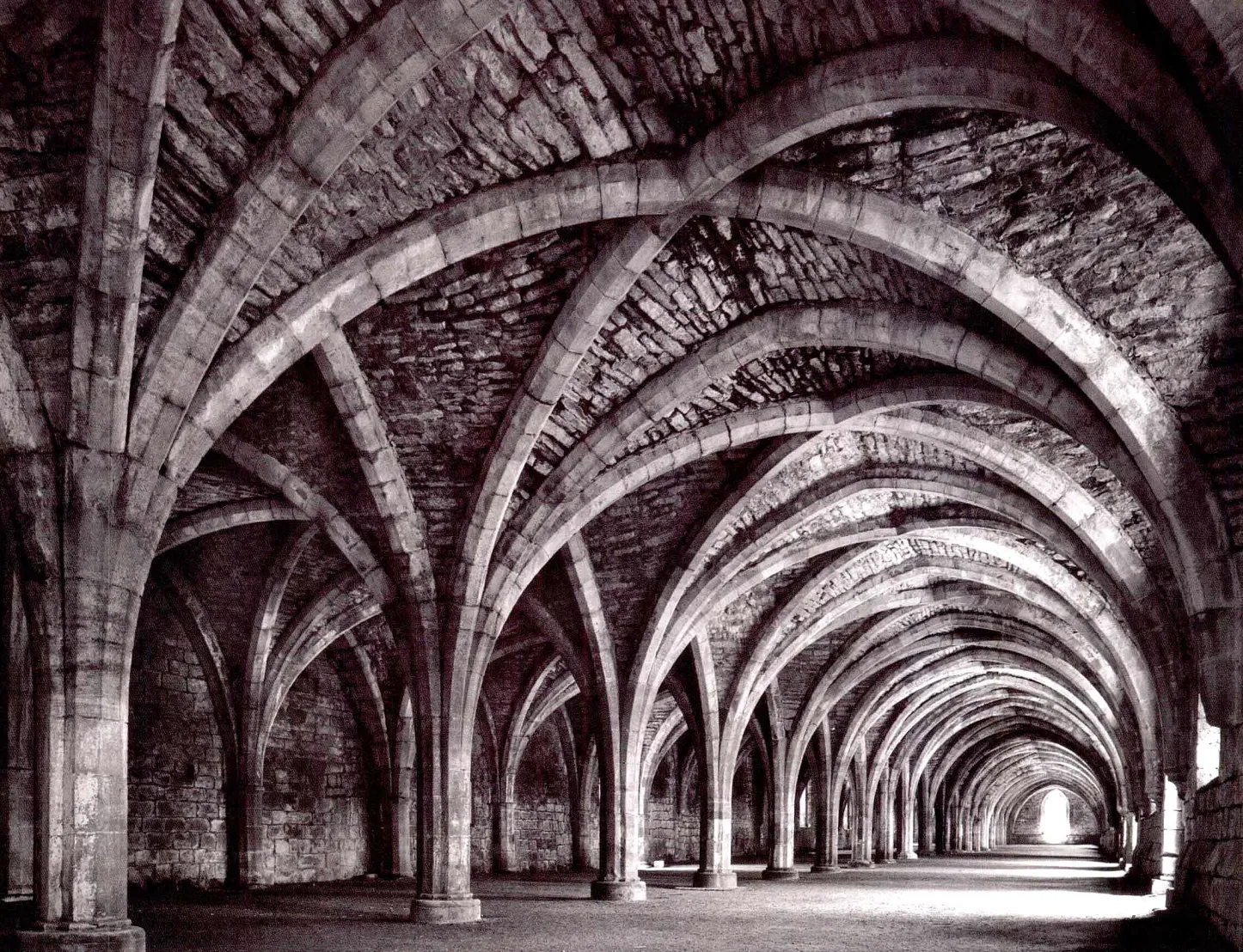 摄影构图的元素解析:打造引人入胜的摄影作品