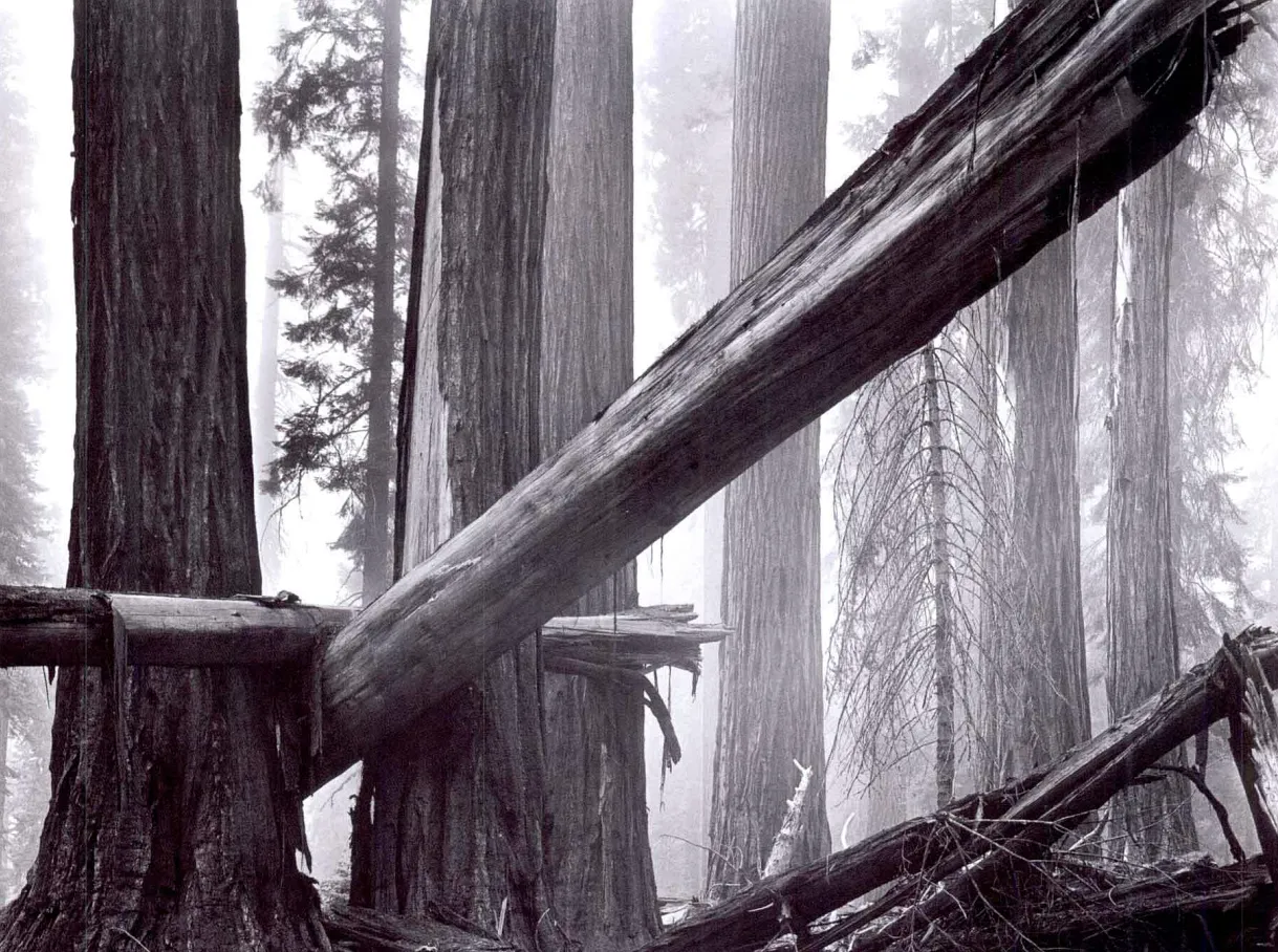 摄影中的线条元素：让画面更有方向与节奏 🎢