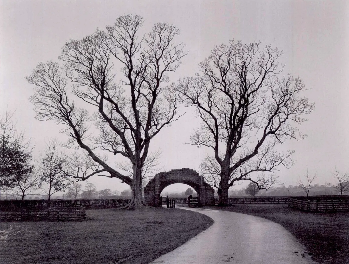 摄影构图的元素解析:打造引人入胜的摄影作品