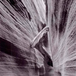 摄影构图的相机位置：决定画面视角的关键因素