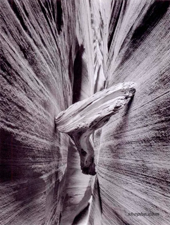 摄影构图的相机位置：决定画面视角的关键因素