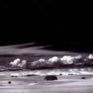 摄影构图中的动态与平衡性：如何创造视觉和谐