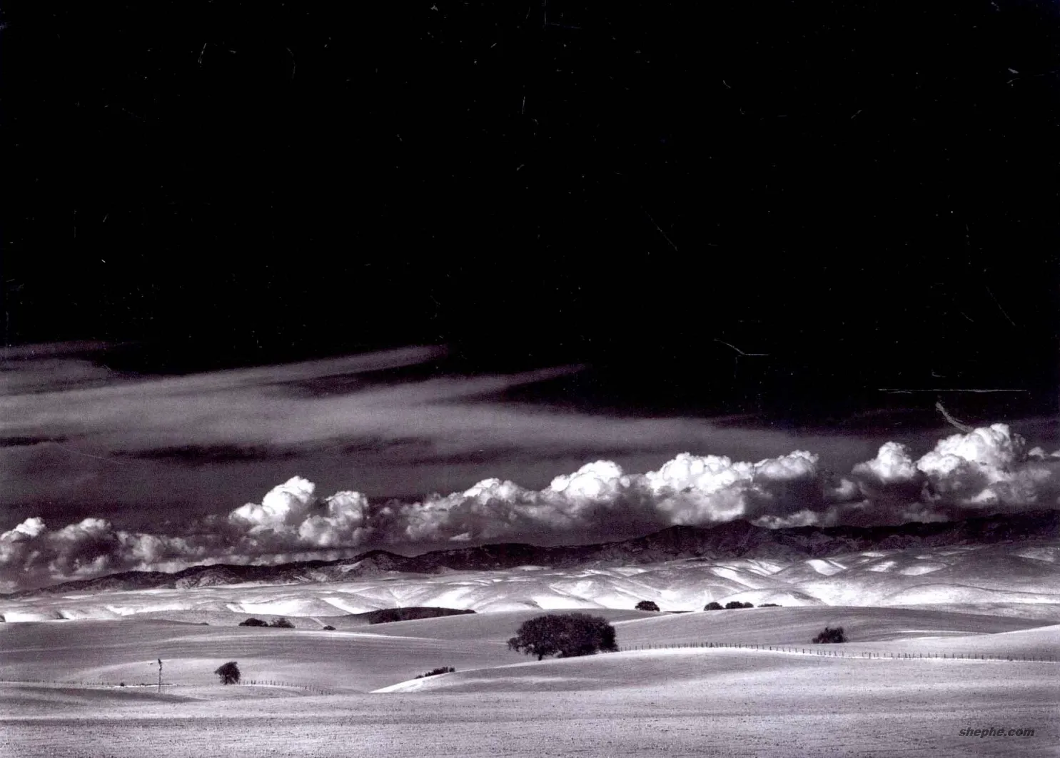 摄影构图中的动态与平衡性：如何创造视觉和谐