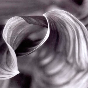 镜头焦距与裁剪：如何用取景选择强化摄影表达