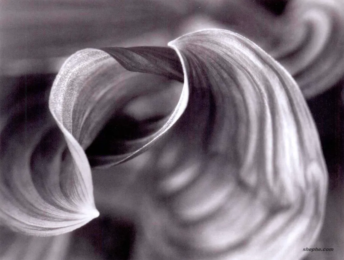 镜头焦距与裁剪：如何用取景选择强化摄影表达