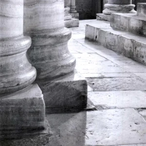 从规则到创意：摄影构图中元素关系与视觉效果