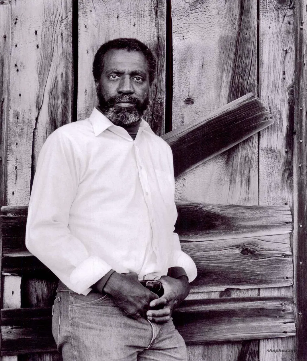 光照的类型与光的特性：摄影中的关键影响因素