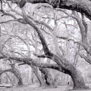 摄影师应该如何更好地观察光线？摄影构图练习