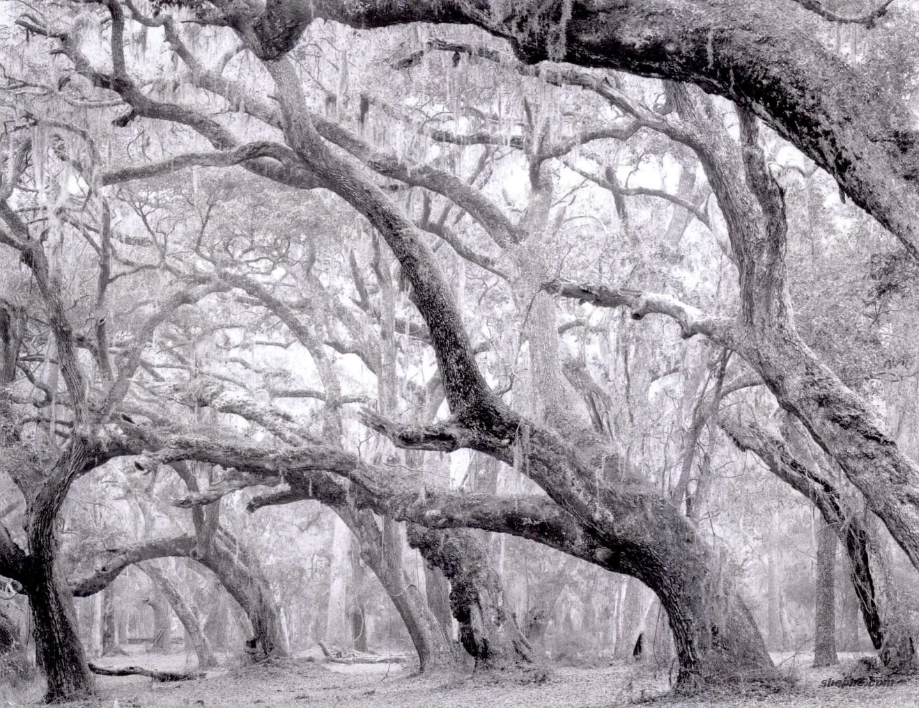 摄影师应该如何更好地观察光线?摄影构图练习