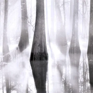 通过观察光线的变化，掌控摄影中的形状与线条