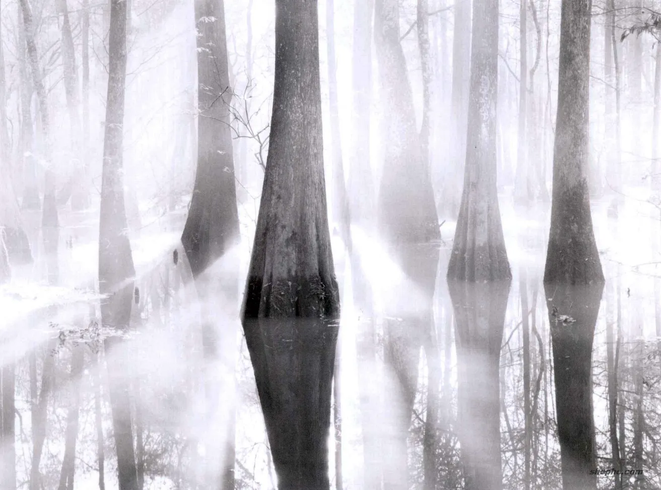 摄影师应该如何更好地观察光线？摄影构图练习