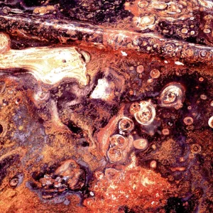 彩色摄影与黑白创作差异与色彩应用的深刻意义