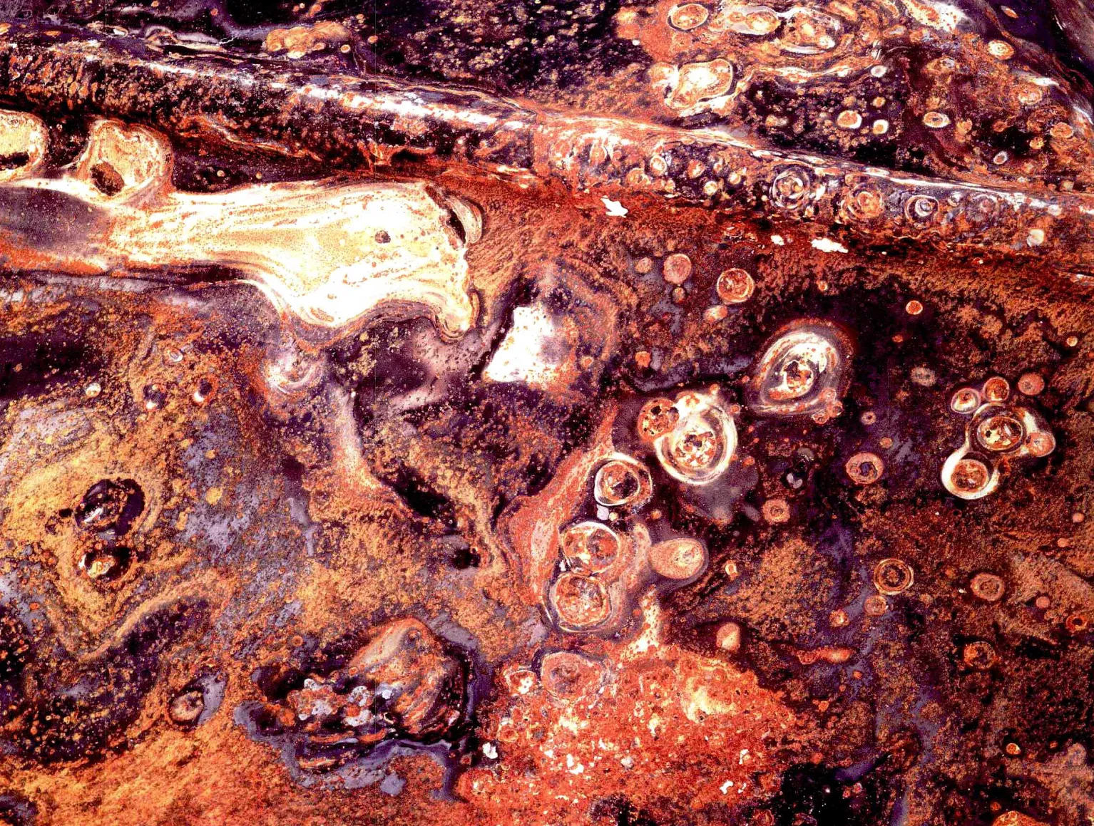 彩色摄影与黑白创作差异与色彩应用的深刻意义