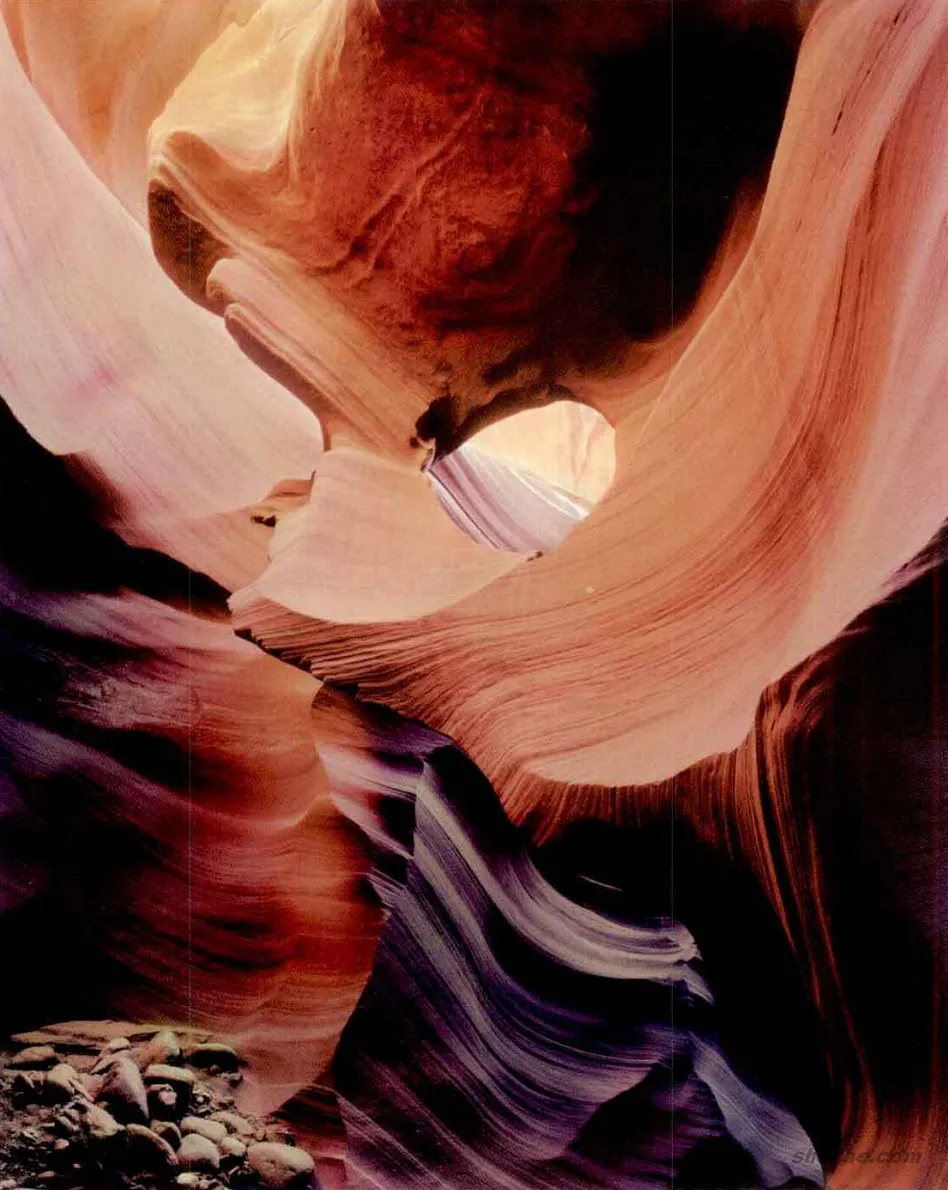 彩色摄影与黑白创作差异与色彩应用的深刻意义