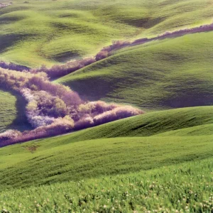 色彩概念：理解色轮与色球在摄影创作中的作用