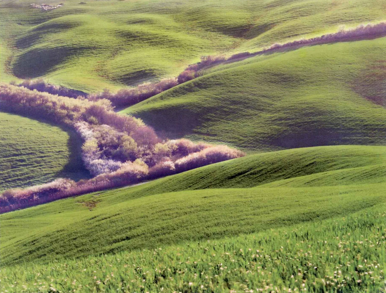 彩色摄影与黑白创作差异与色彩应用的深刻意义