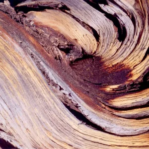 如何在彩色摄影中运用色彩关系：对比、平衡与视觉节奏