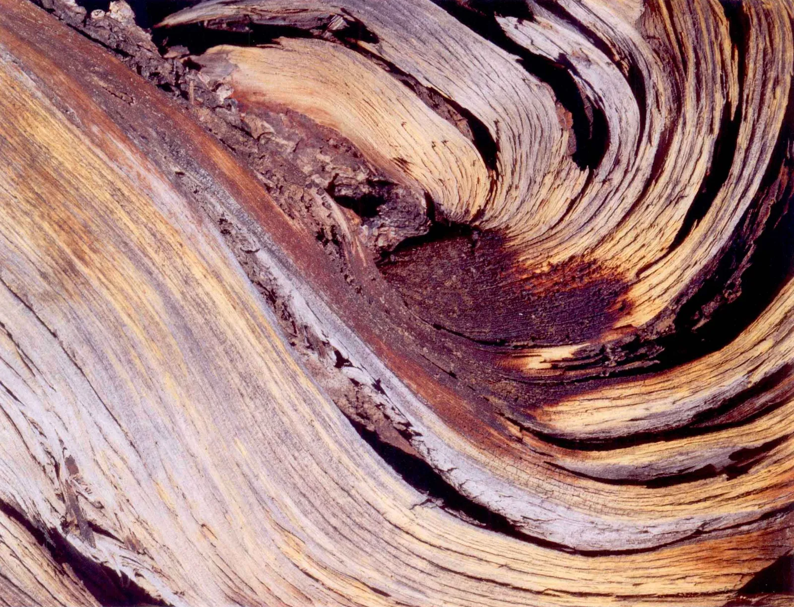 如何在彩色摄影中运用色彩关系：对比、平衡与视觉节奏