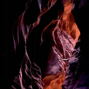 色彩的情感力量：用色彩强化摄影作品的氛围感