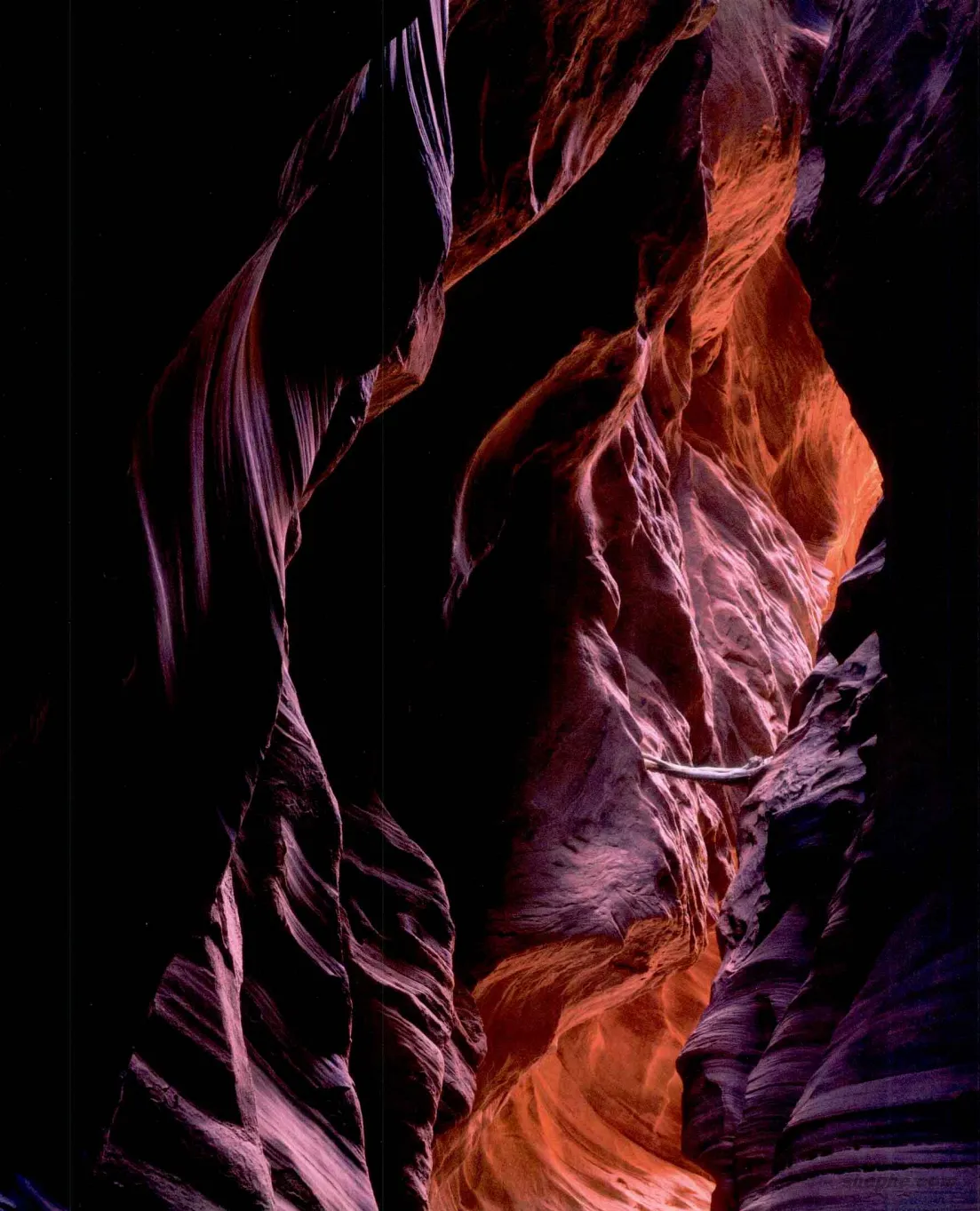 暖色与冷色的情感力量：用色彩强化摄影作品的氛围