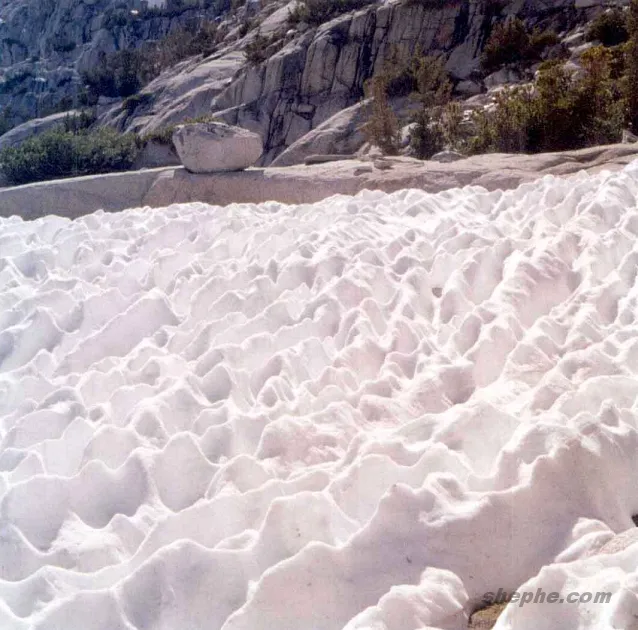 控制光线和色彩：提升摄影表现力的核心能力