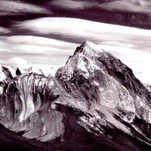 理解光线与色彩：滤镜在胶片摄影中的应用与数码摄影的对比