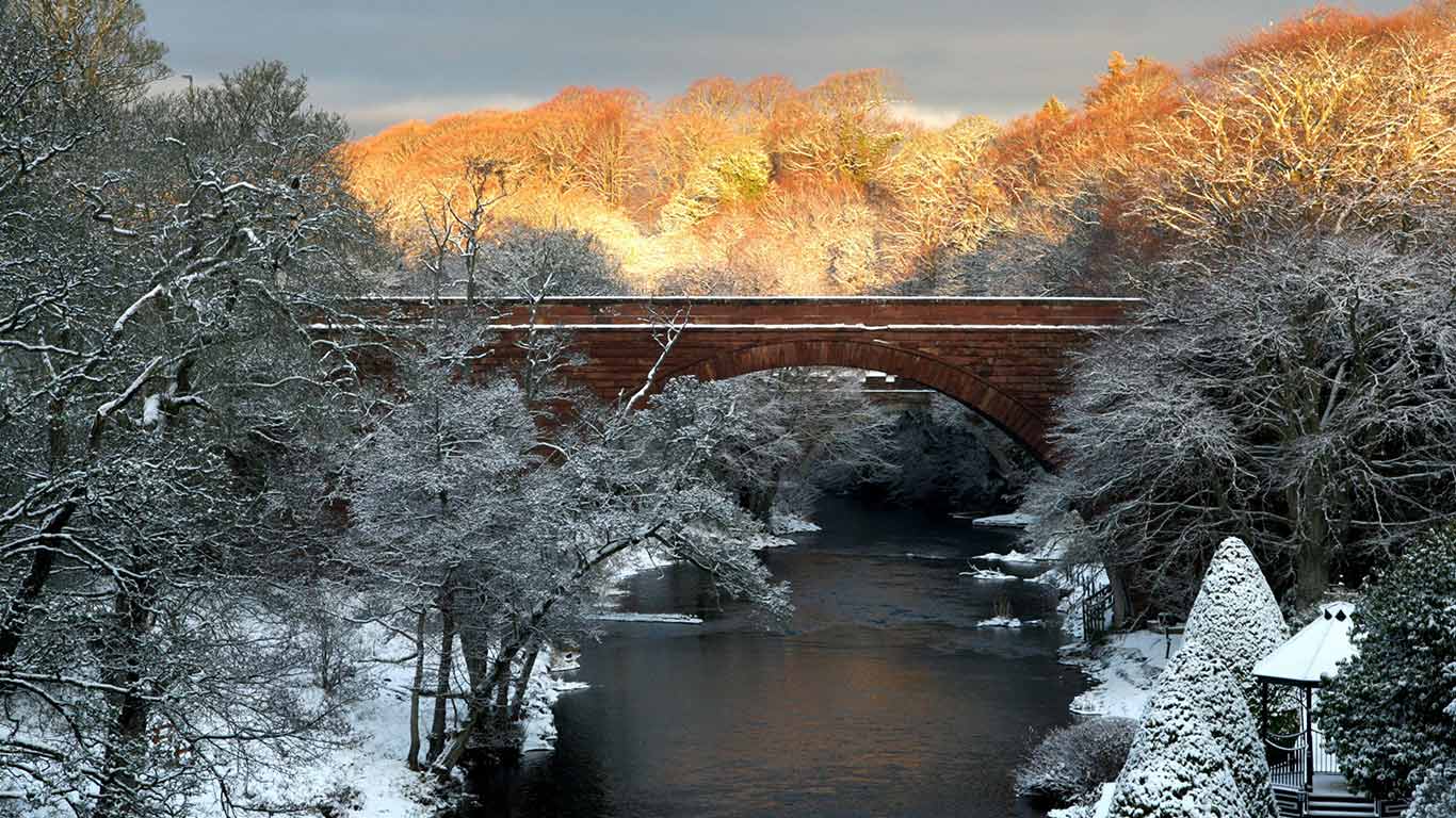 传统熠熠生辉  |  伯恩斯国家遗产公园，艾尔，南艾尔郡，苏格兰 (© Alister Firth/Alamy)  -  2026/01/25