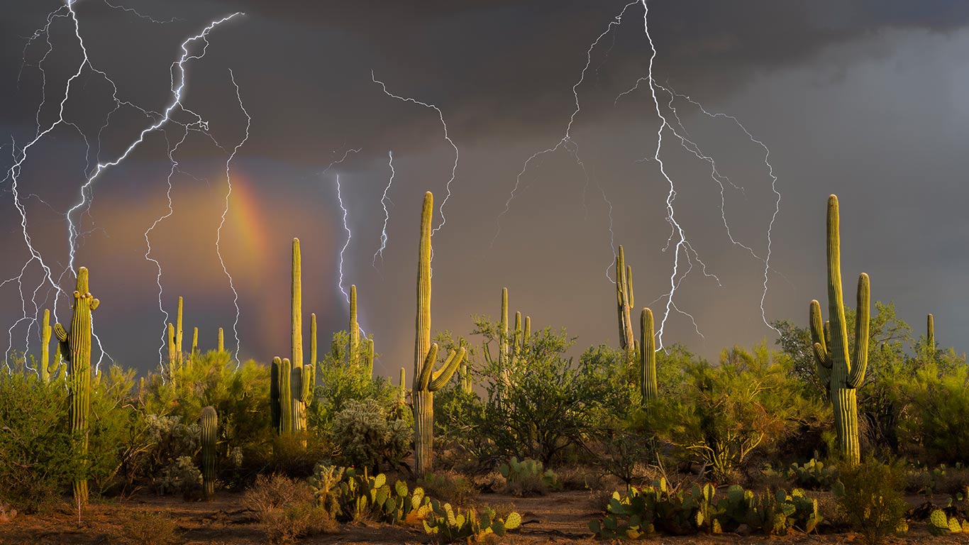 索诺拉荒漠的雷暴交响曲 | 索诺拉沙漠,美国(© BEST-BACKGROUNDS/NASA/Shutterstock) - 2026/03/23