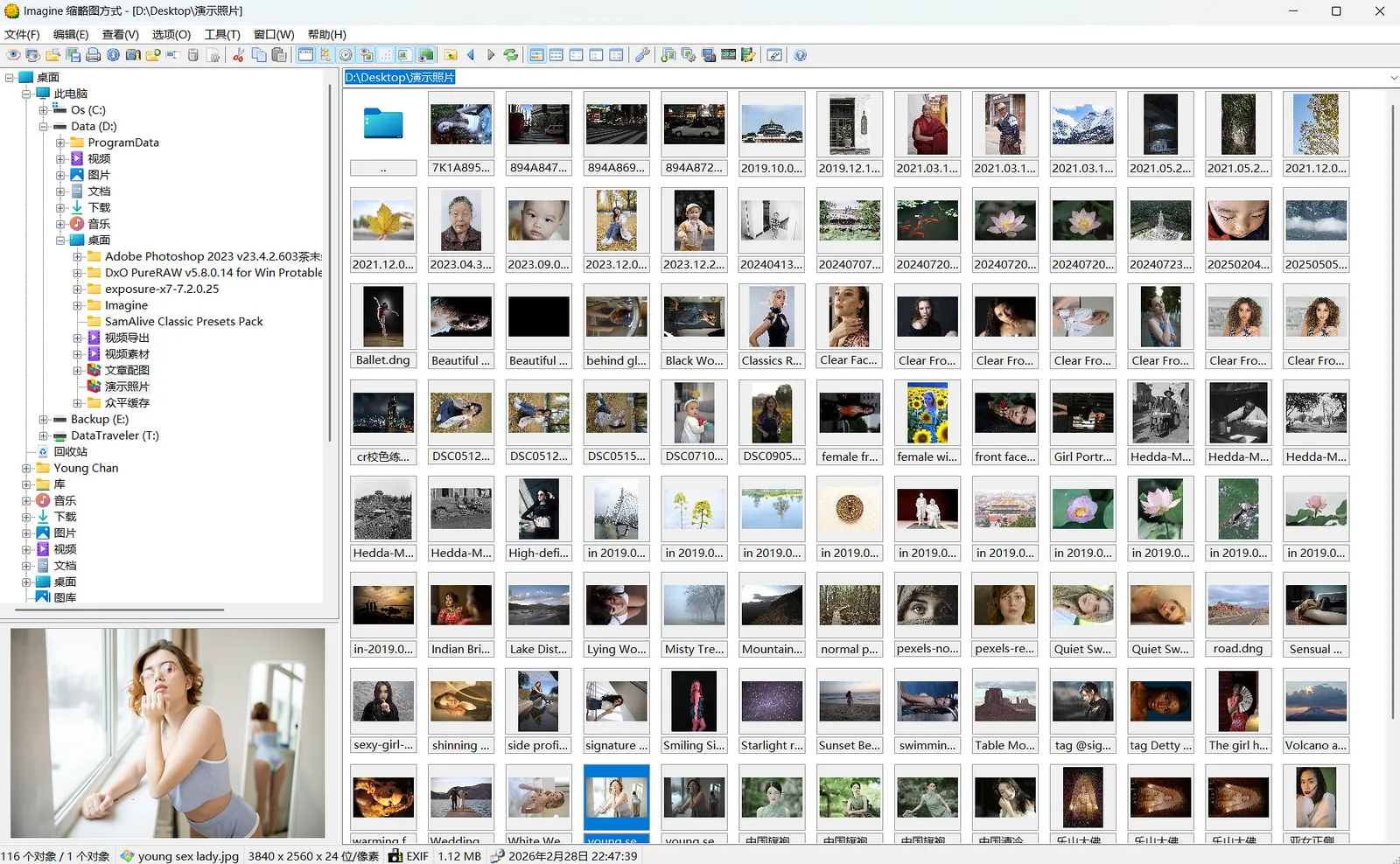 小巧免费的的图片浏览工具 Imagine v2.5.2 绿色版