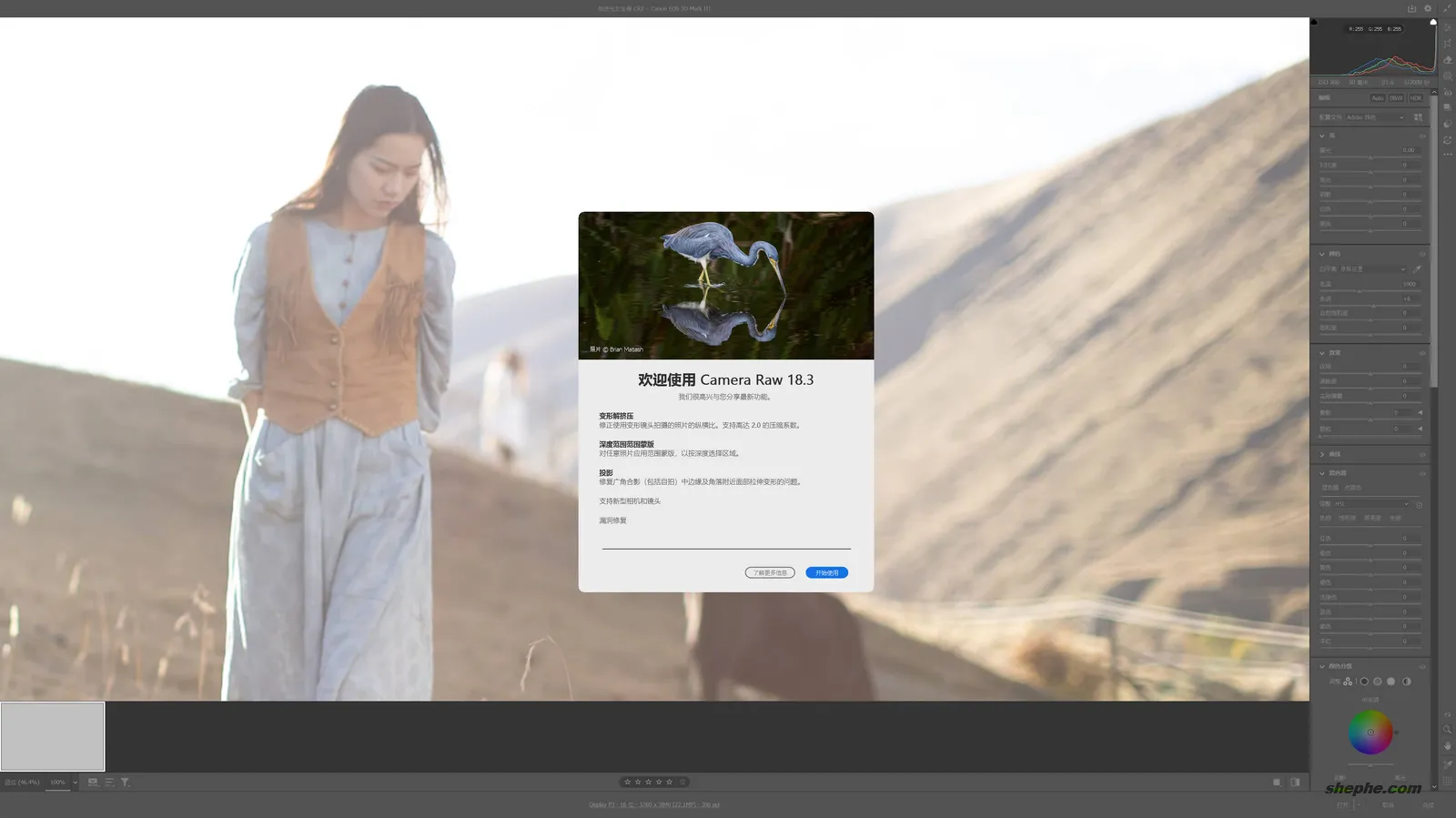 Camera Raw 18.3 全新升级：新增深度范围蒙版、电影风格预设与畸变校正支持