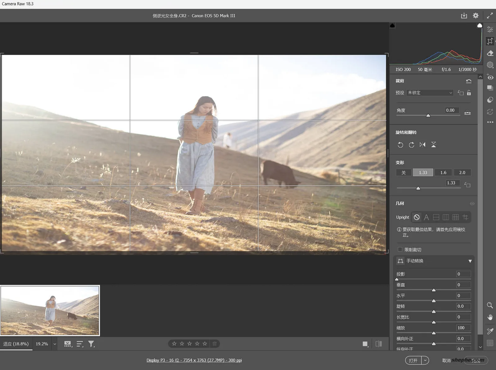 Camera Raw 18.3 全新升级：新增深度范围蒙版、电影风格预设与畸变校正支持