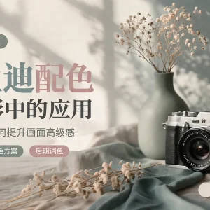 莫兰迪配色在摄影中的应用：低饱和色调如何提升画面高级感