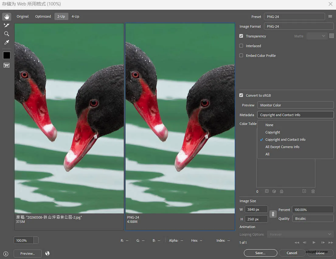 Photoshop 27.7 存储为 Web 所用格式界面更新