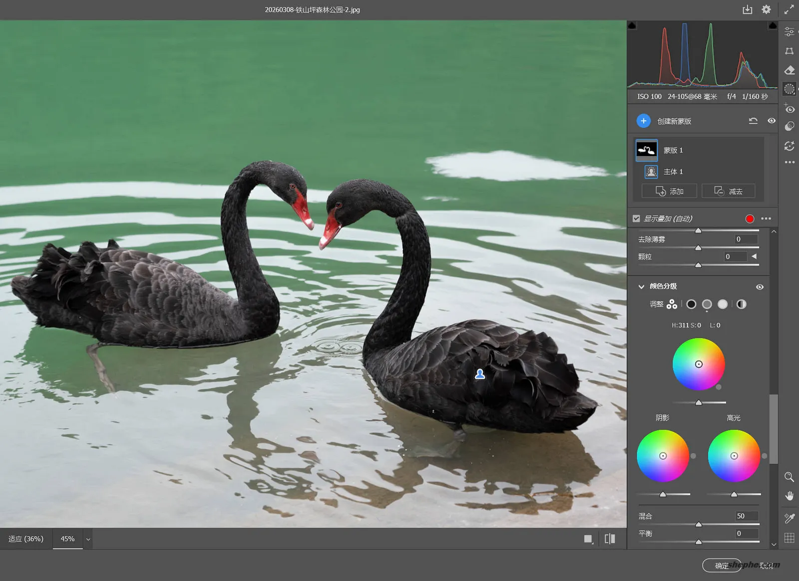 Camera Raw 18.3.1 更新,带来了什么新功能呢?