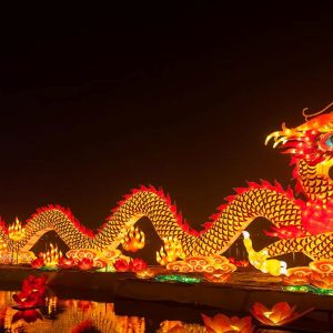 必应每日一图合集：祝除夕团圆，新年顺遂！ | 2026 第 8 周