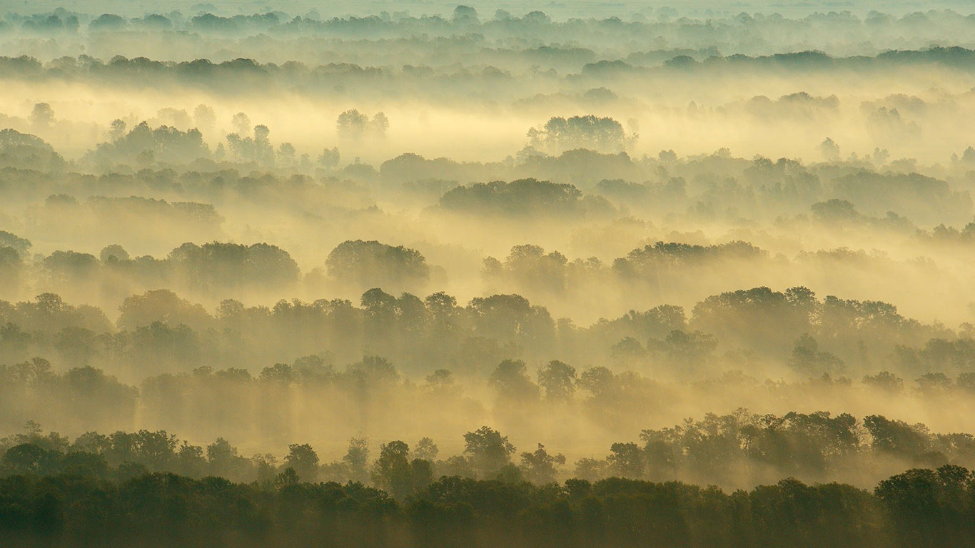 根系自由生长的地方 | 莱泰亚森林,多瑙河三角洲,罗马尼亚 (© Wild Wonders of Europe/Widstrand/Nature Picture Library) - 2026/03/21