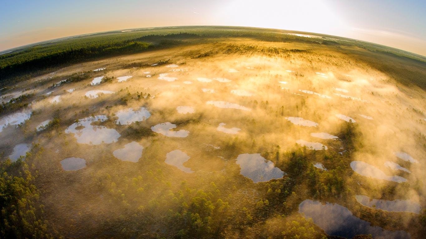行动的力量  |  阿拉姆-佩德亚自然保护区，塔尔图县，爱沙尼亚 (© Sven Zacek/Nature Picture Library)  -  2026/04/22