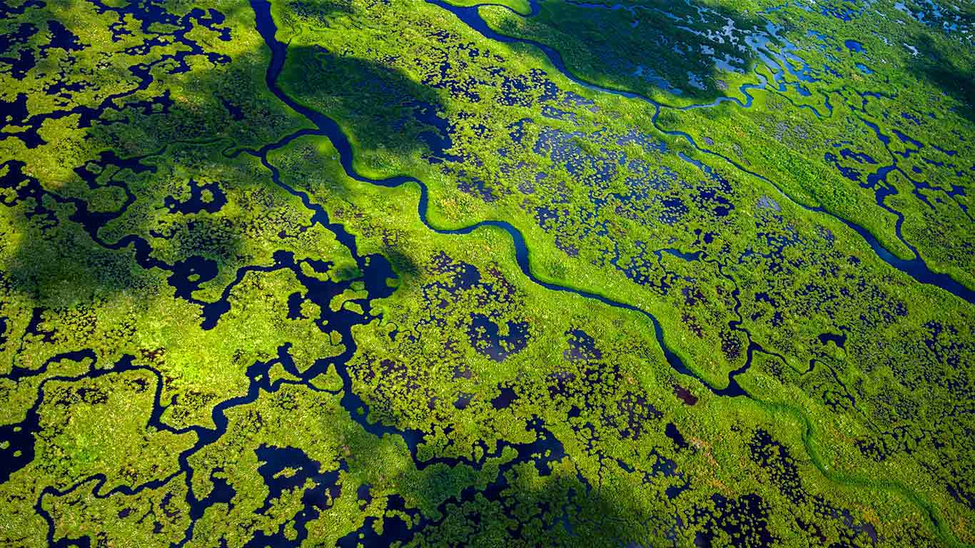 顺流而行  |  大沼泽地国家公园航拍景观，佛罗里达州，美国 (© Tetra Images/Getty Images)  -  2026/05/31