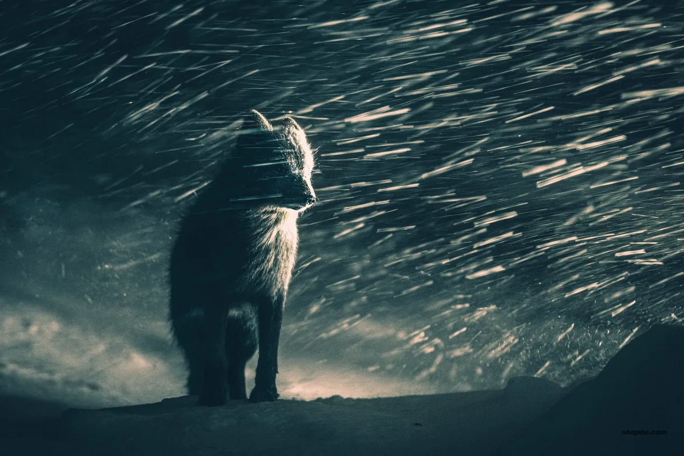 Braving the Elements