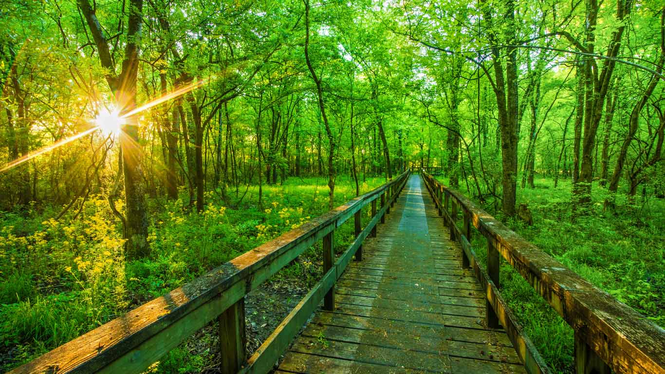 多走走,多思考 | 纳奇兹小径公园大道, 图珀洛, 密西西比州, 美国 (© The best photo is earned/Getty Images Plus) - 2026/06/06