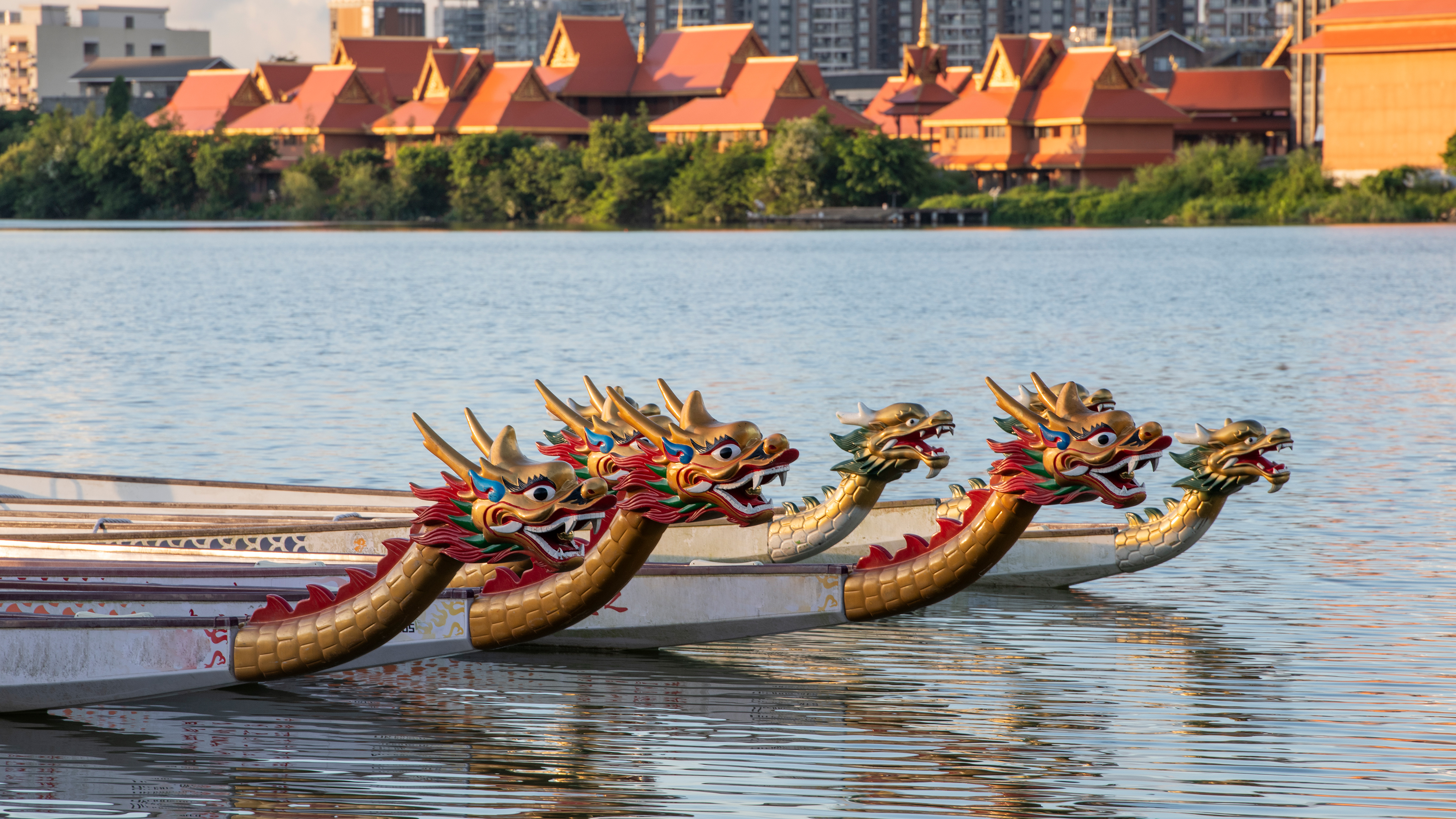 龙吟古韵 | 湖中的龙舟，中国 (© Zhonghui Bao/Getty Images) - 2026/06/19
