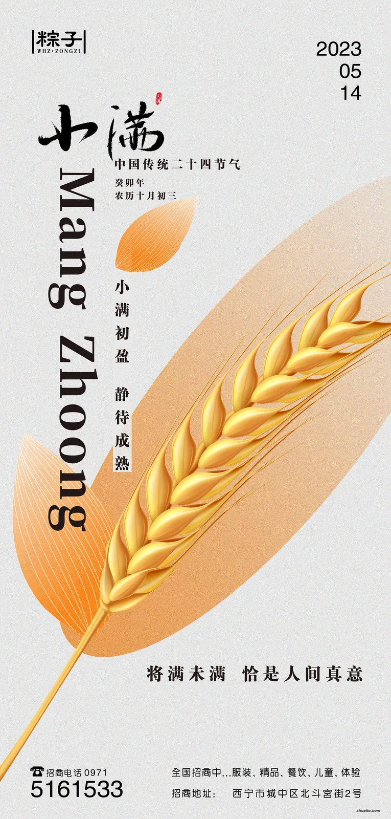 100 套小满节气海报 PSD 格式模板,中国传统节气源文件合集