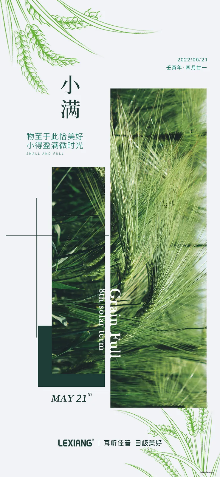 100 套小满节气海报 PSD 格式模板,中国传统节气源文件合集