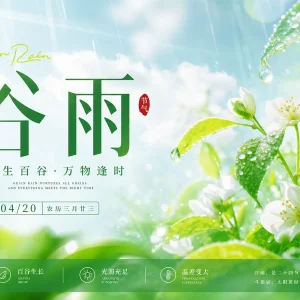 35 款谷雨节气 PSD 海报模板免费下载，轻松设计创意海报