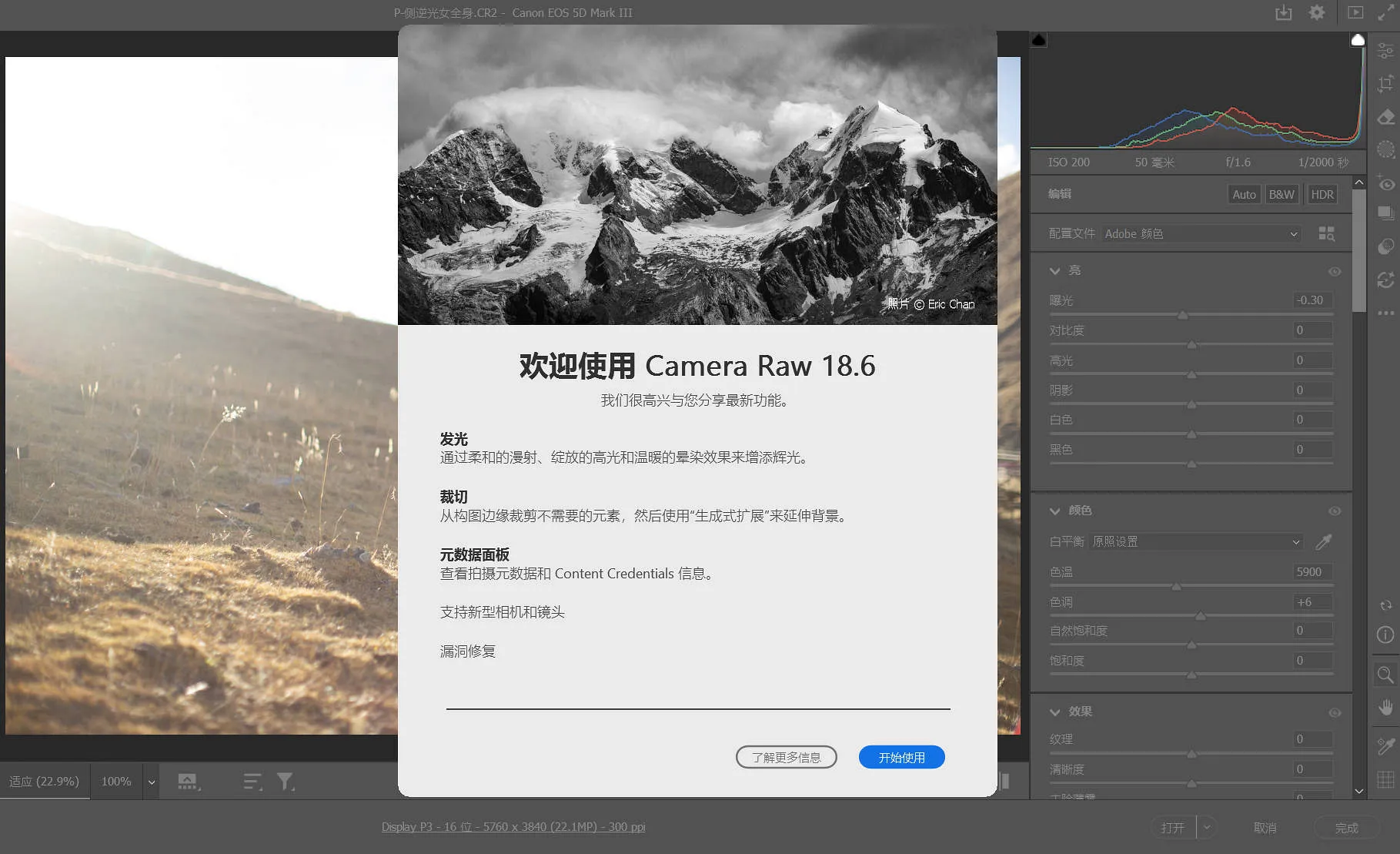 Camera Raw 18.6 发布:新增发光效果、Trim 透明裁剪与元数据信息面板